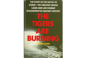 The Tigers are burning 